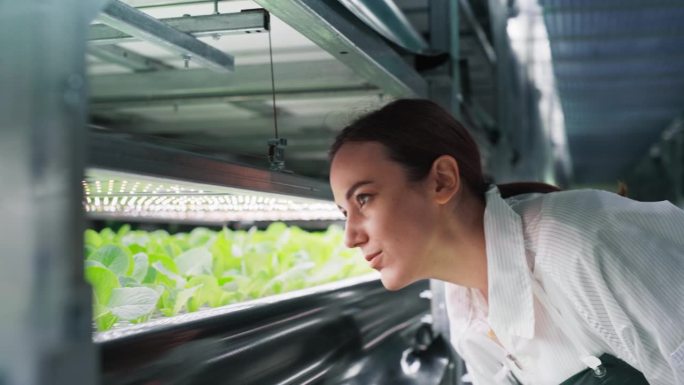 一个农业种植者在垂直农场设施的走廊里工作的肖像，旁边是一个新鲜种植的植物。女水培技术员密切研究和栽培