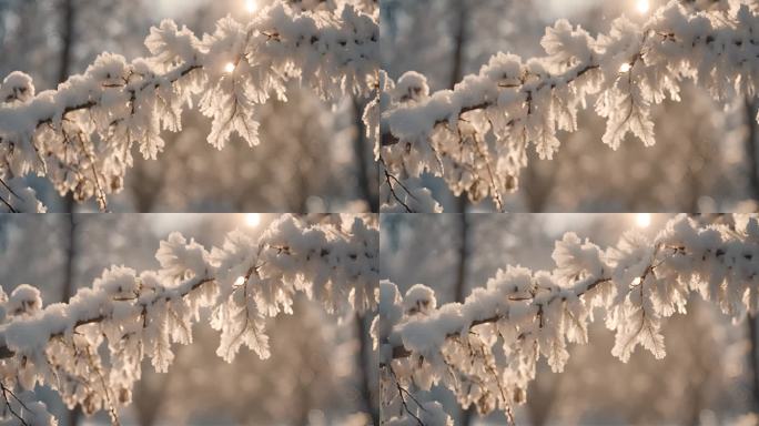 吉林雾凇冬天冬季下雪