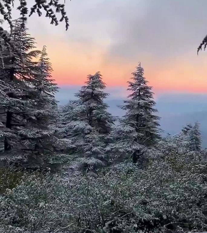 雪景的山峰舍夫沙万山脉摩洛哥