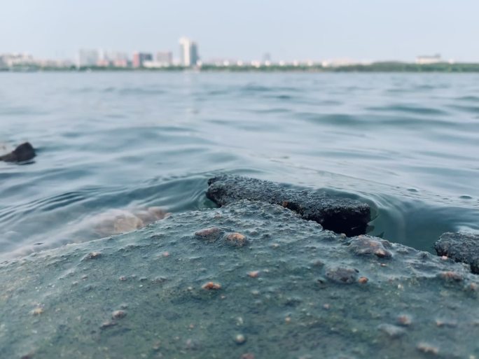 平静的午后，湖水拍打水面