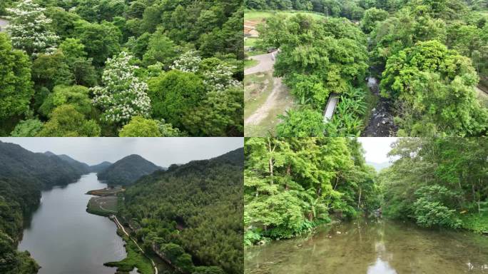 从化石门国家森林公园