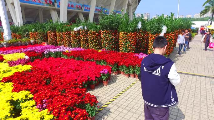 珠海体育中心迎春花市