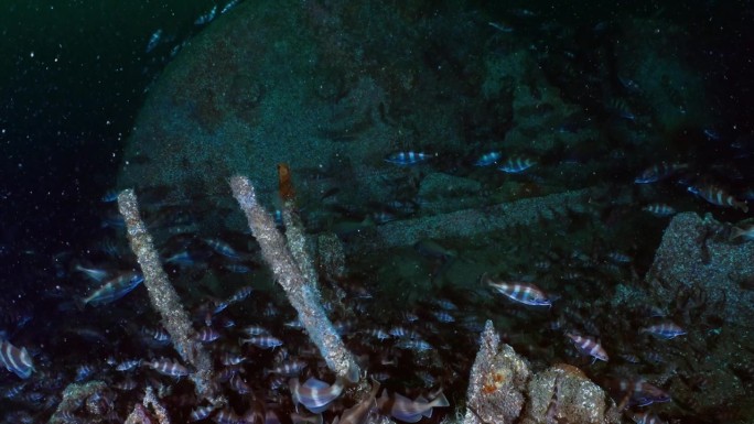 38米的残骸在大西洋的法国海岸