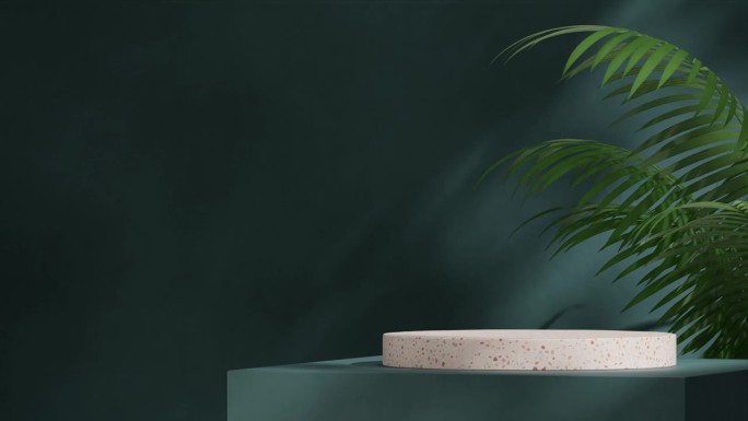 3d画面渲染红色水磨石平台的空白空间无缝阴影动画循环与绿色龙葵棕榈和蓝色墙壁
