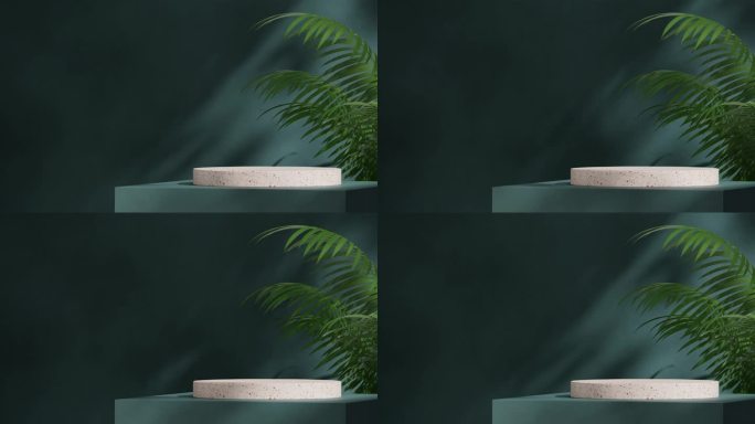 3d画面渲染红色水磨石平台的空白空间无缝阴影动画循环与绿色龙葵棕榈和蓝色墙壁