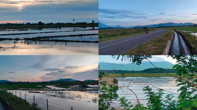 水稻田的早晨水塘反光天光公路