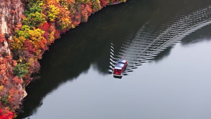 秋季山区枫林航拍图