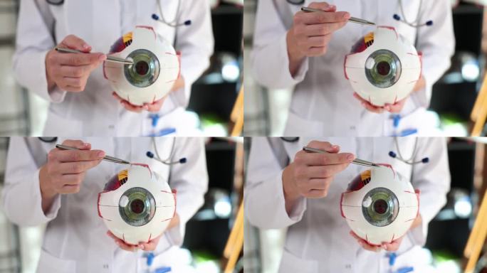 眼科医生用笔在解剖模型上展示眼睛的结构，特写4k电影慢动作