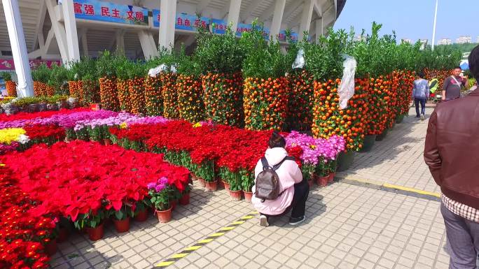 珠海体育中心迎春花市