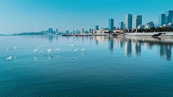 青岛西海岸新区唐岛湾公园海鸥衬衫个宣传片