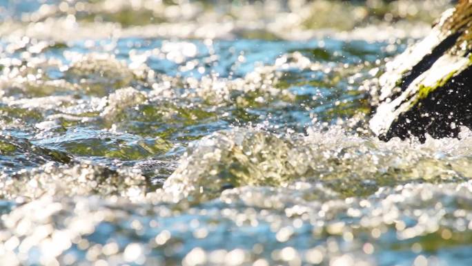 海水海浪白色浪花唯美清澈河水