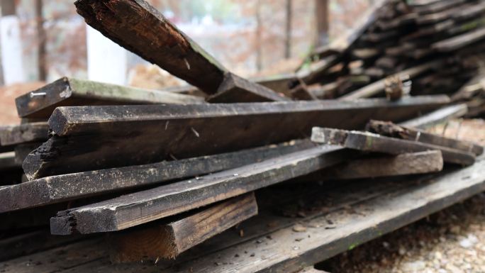 腐木木板生态破坏废弃木板4K
