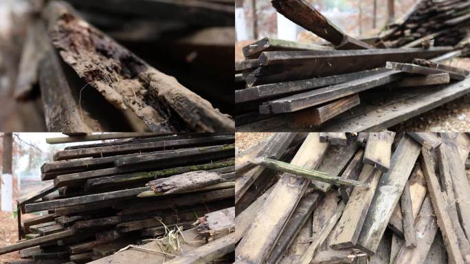 腐木木板生态破坏废弃木板4K