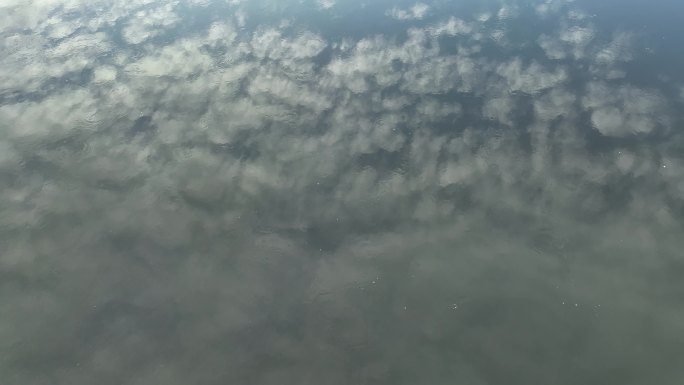 漂浮在水面上的白云倒影