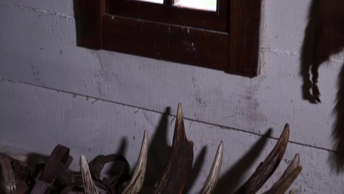 在一个护林人的房子里的驼鹿角。内部是一个传统的猎人之家。