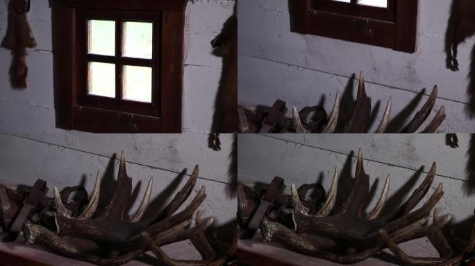 在一个护林人的房子里的驼鹿角。内部是一个传统的猎人之家。