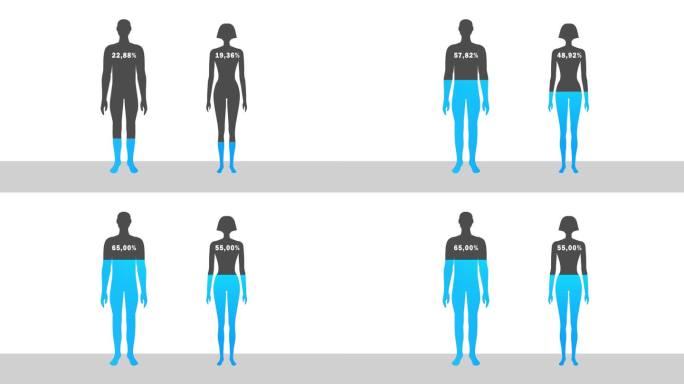 男女人体水概念动画。男性和女性的百分比水合水平