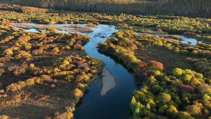 航拍秋季蜿蜒的森林河流