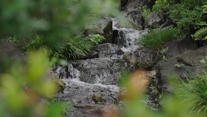 东京浅草寺流水鱼池