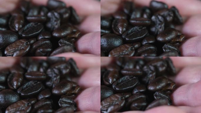 在一张特写中，一只手拿着阿拉比卡咖啡豆。