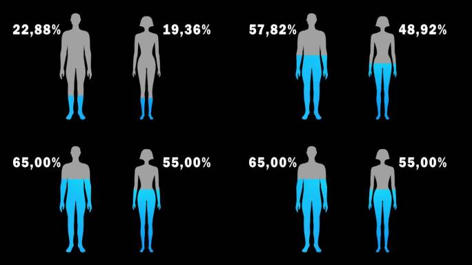 男女人体含水量概念动画。男性和女性的补水水平