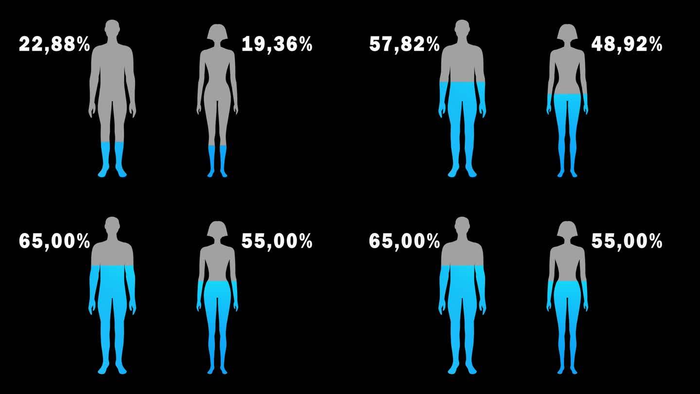 男女人体含水量概念动画。男性和女性的补水水平