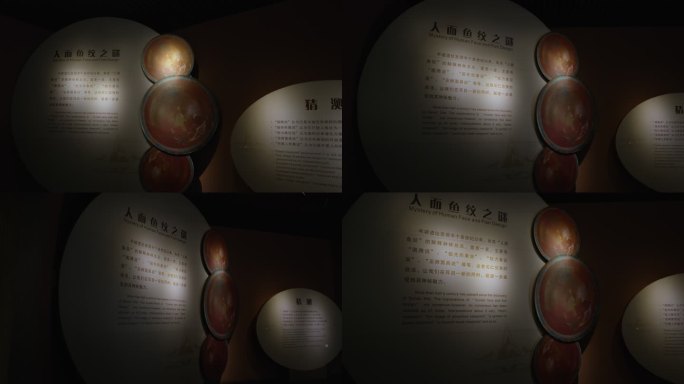 西安半坡博物馆文物石器陶器20