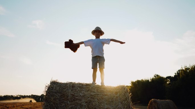 夕阳下，麦田里的男孩站在乡间的干草堆里。孩子站在干草堆上，手里拿着泰迪熊玩具。宝宝在身边挥舞着双臂，