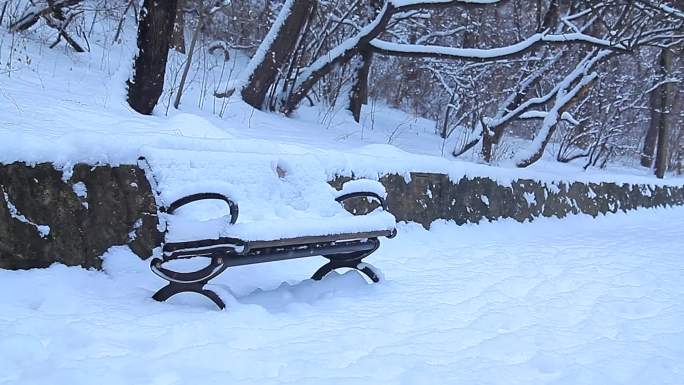 实拍东北城市雪景