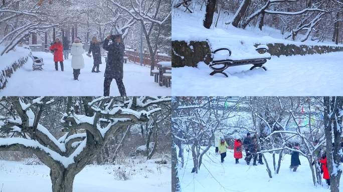 实拍东北城市雪景