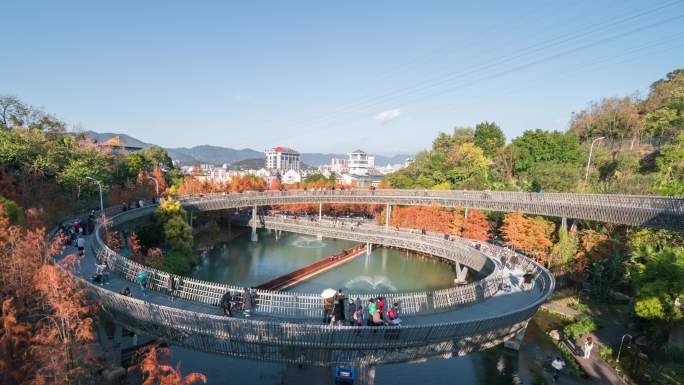 福建福州福道水杉人流延时空镜