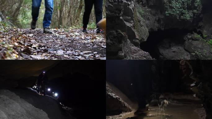 洞穴探险 一群人徒步进入原始森林岩洞