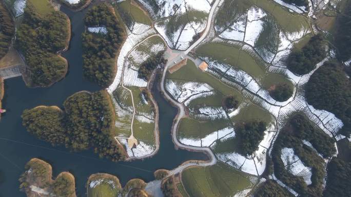 乡村雪景茶园风光航拍