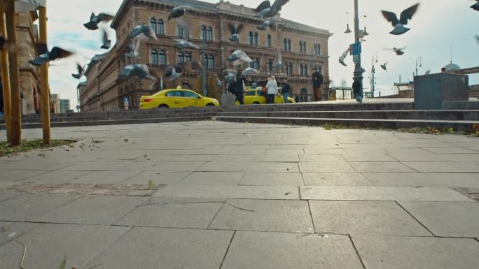 手持拍摄的鸽子在城市广场上飞行，背景是历史建筑和出租车