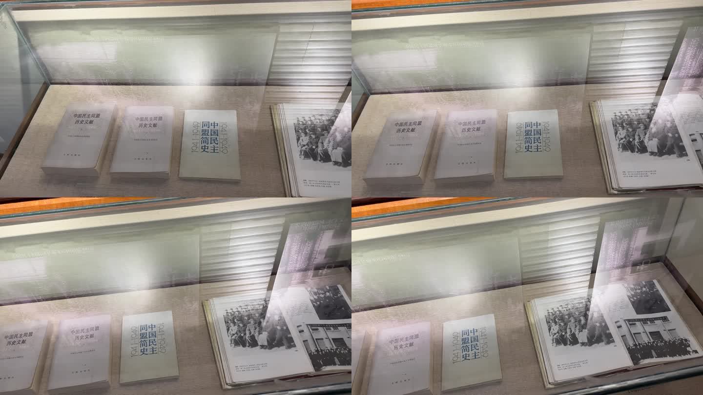 4K原创 中国民主同盟 书籍