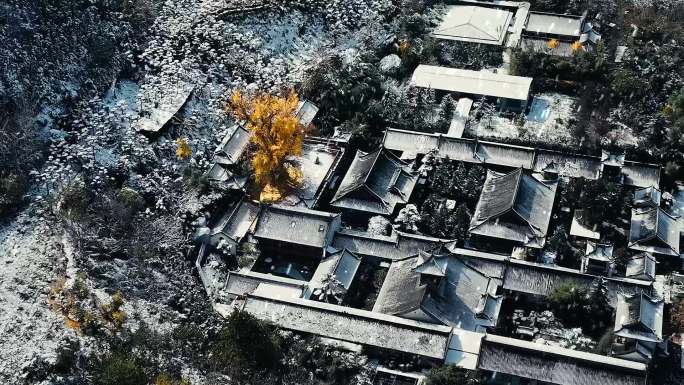 西安古观音禅寺千年银杏树雪景航拍