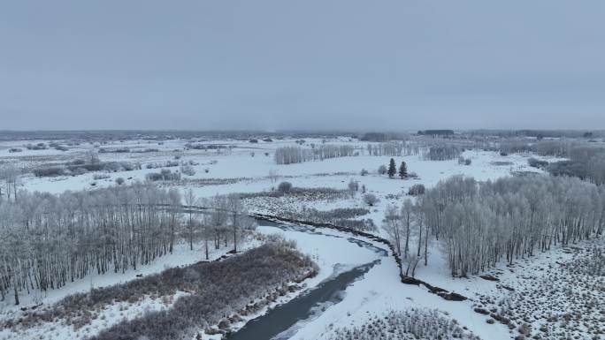 惊蛰时节的扎敦河湿地雪景