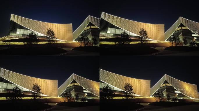 北京通州新地标北京艺术中心夜景三大建筑