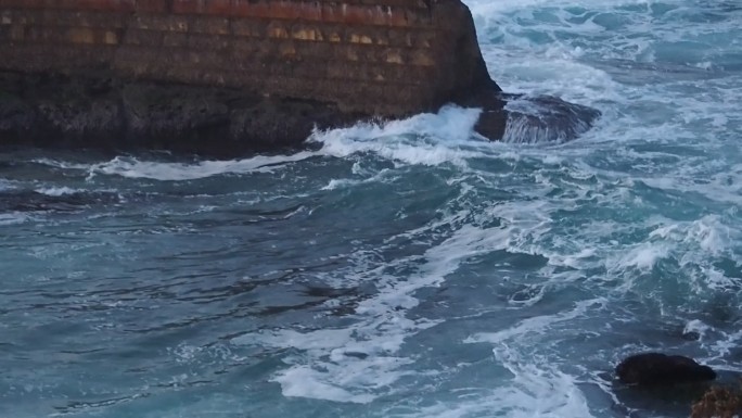 海浪沙滩慵懒海豹