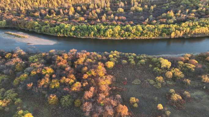航拍秋季蜿蜒的森林河流