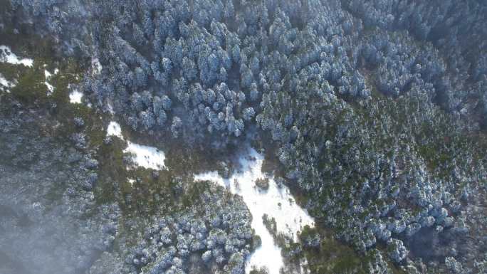 4K冬季森林雪景航拍视频