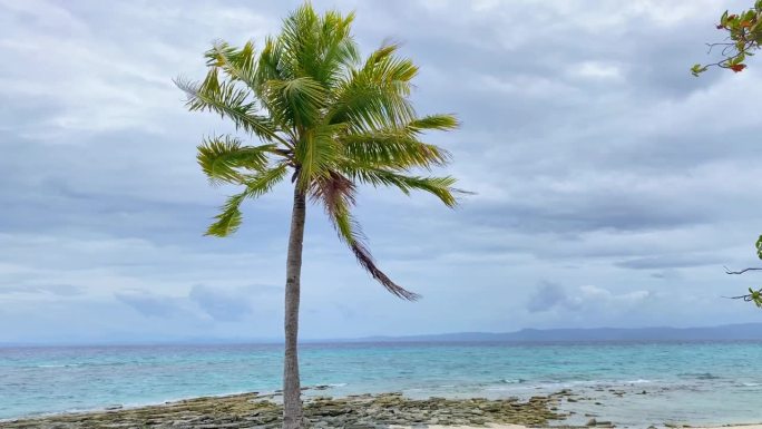 在清澈的大海、白色的沙滩、石头、山脉和多云的天空的衬托下，一棵棕榈树在风中摇曳