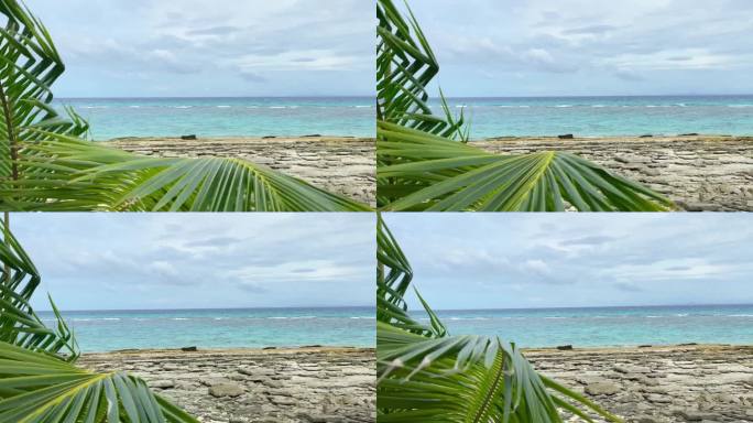 棕榈叶在风中摇曳，背景是清澈的大海和布满火山岩的海滩
