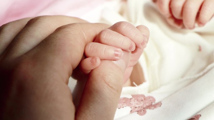 母婴互动婴儿手脚抚摸婴儿手脚小手拉大手