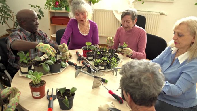 退休护理院居民一起园艺