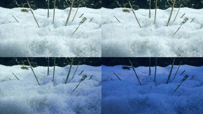 雪融化过程的特写镜头