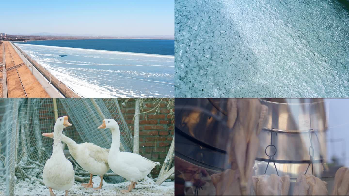 【原创4K】下雪的村庄结冰的湖面大鹅美食