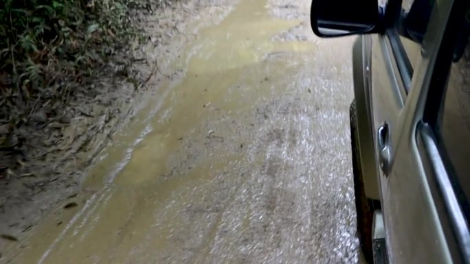 汽车上山经过一条有小溪的自然小路，一条艰难的道路，道路两旁长满了树木。多雨的气氛。观点开车。