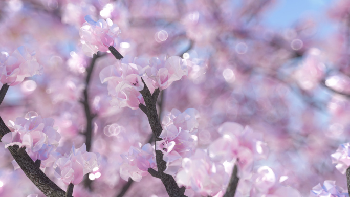 房地产春天小树发芽樱花生长 视频素材