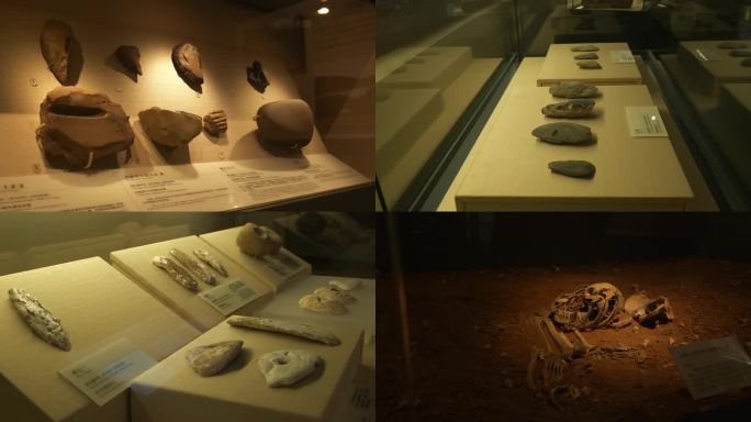 博物馆考古遗址化石